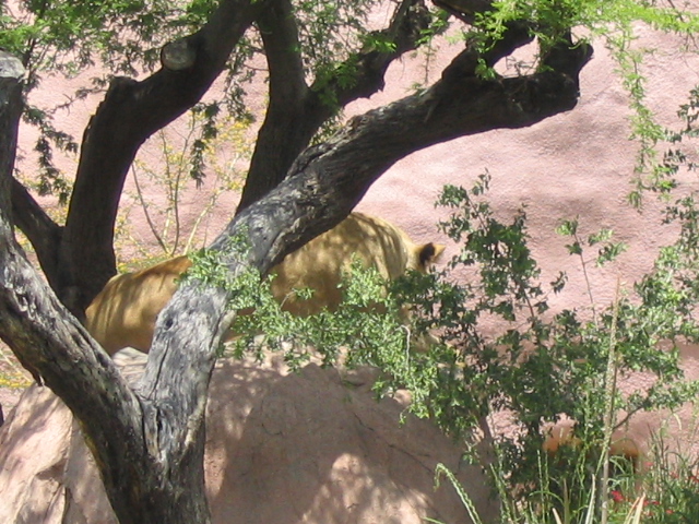 618x457 pixels (238K)